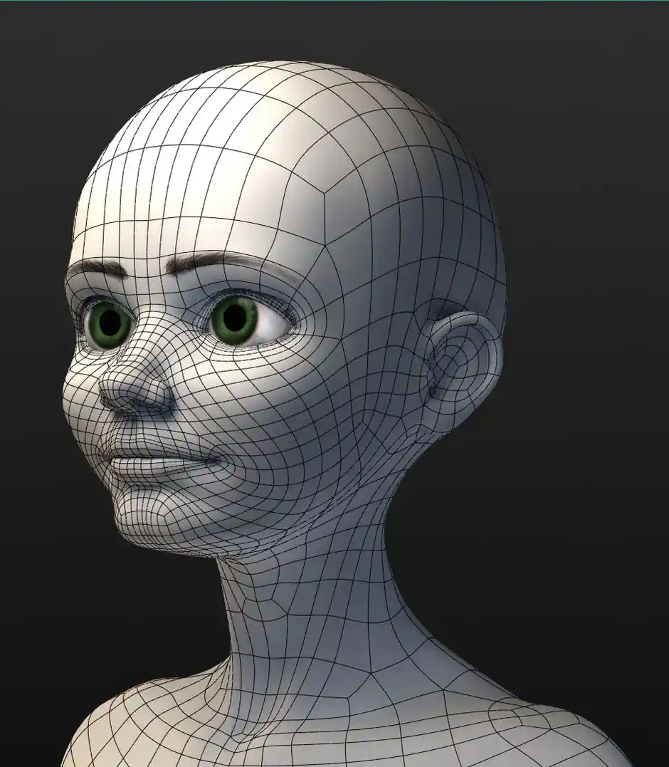 topology of 3d model of a human head