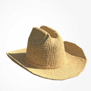 cowboy hat 3d model, 3d hat, 3d cowboy hat, 3d cap,