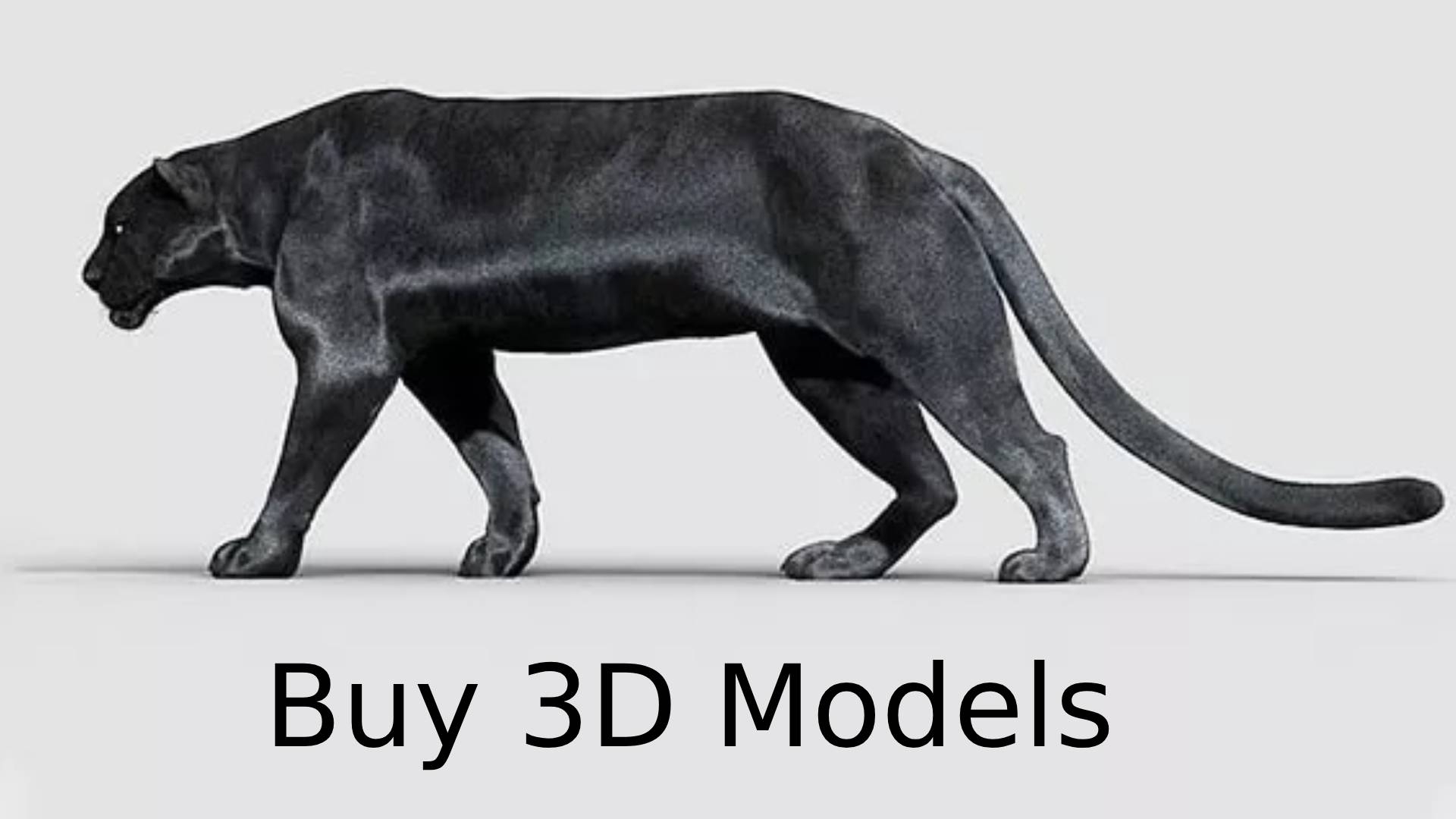 buy 3d models,